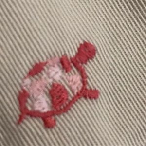 JCrew cropped embroidered chinos